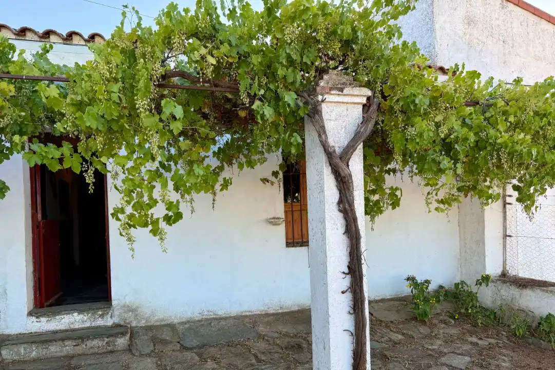 Terreni e lotti in vendita a Casco Antiguo, imagen 30