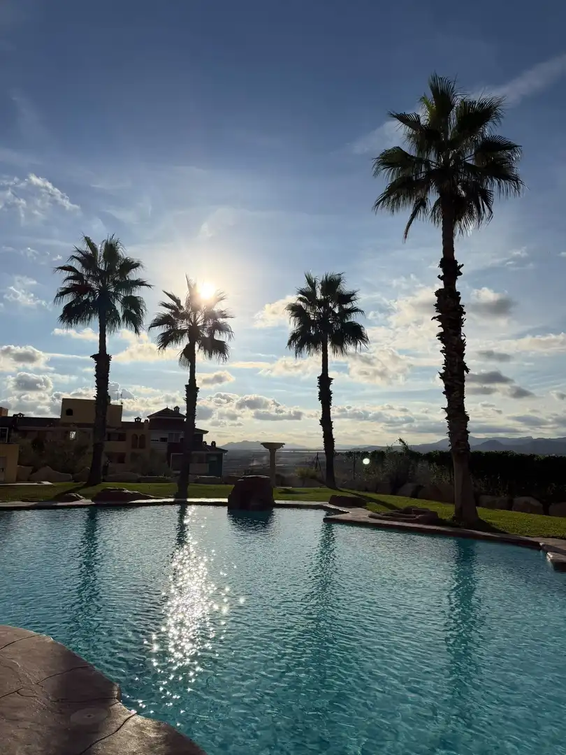Piscina de Estudio en venta en Bonalba - Cotoveta  