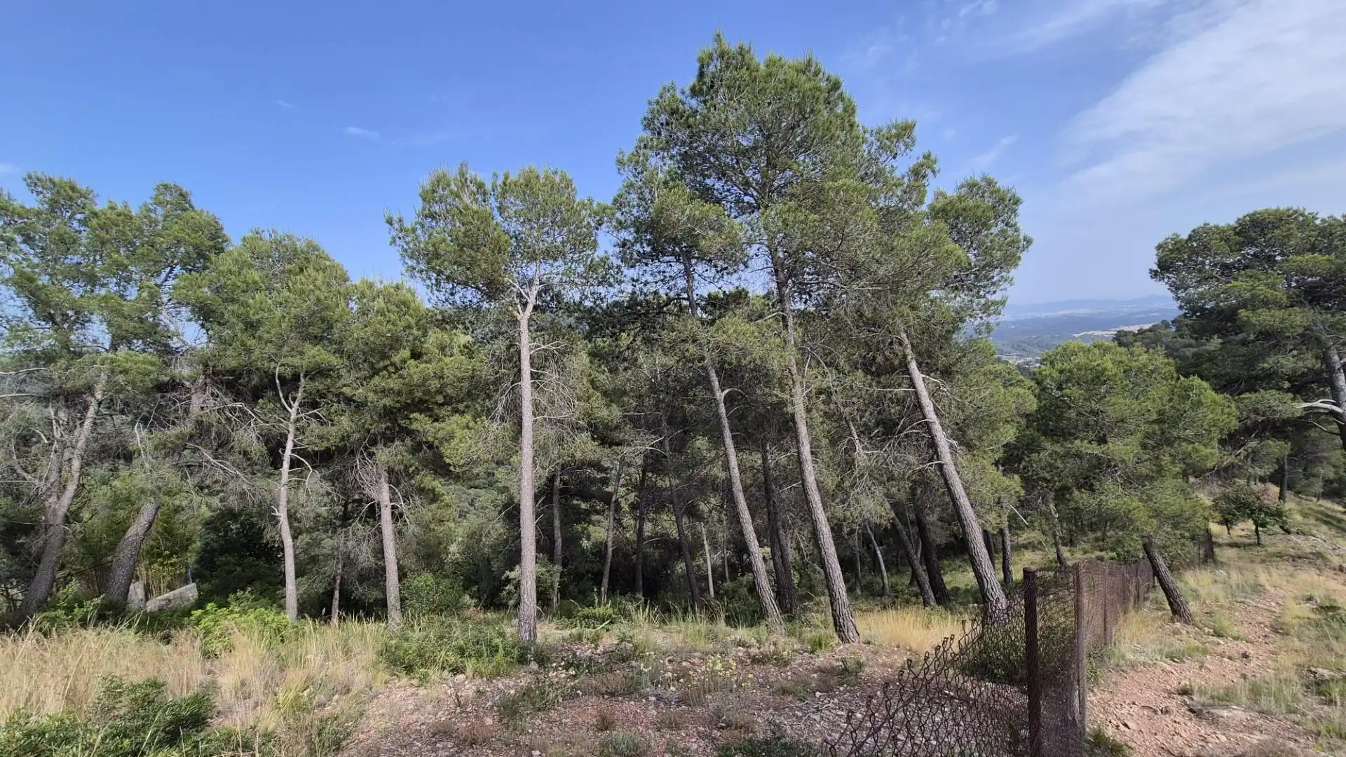 Terreno residencial en venta en El Racó - Sant Feliu del Racó, imagen 7