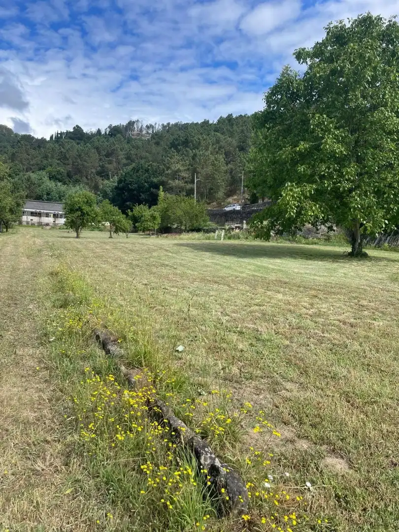 Land for sale in Ribadavia
