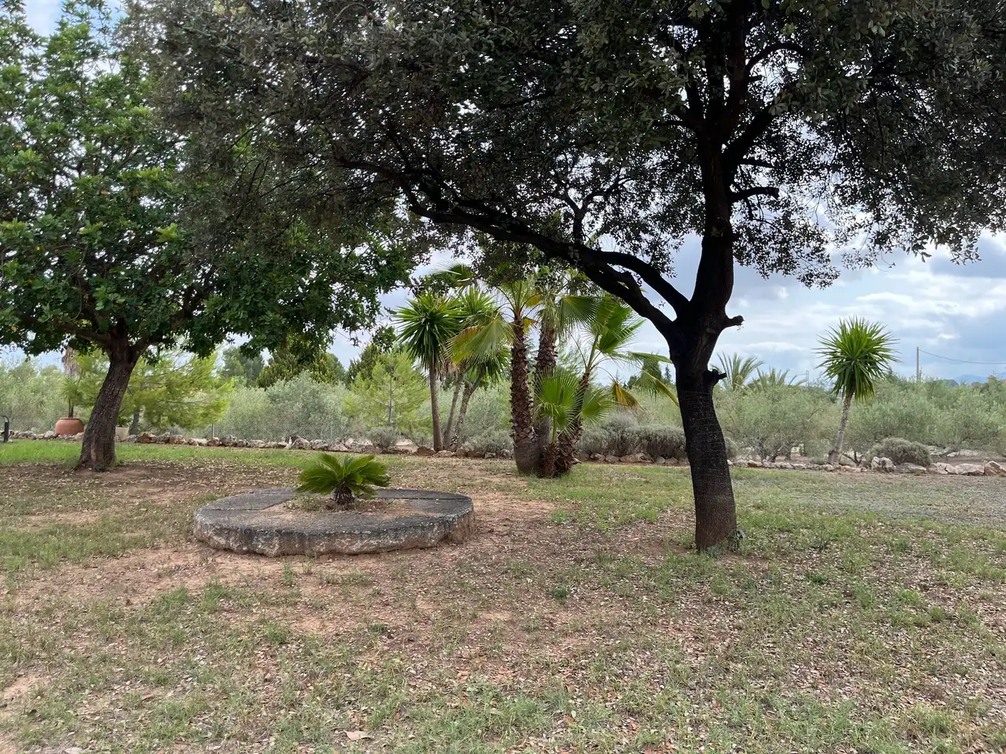 House with pool for sale in Santa Ana, imagen 17