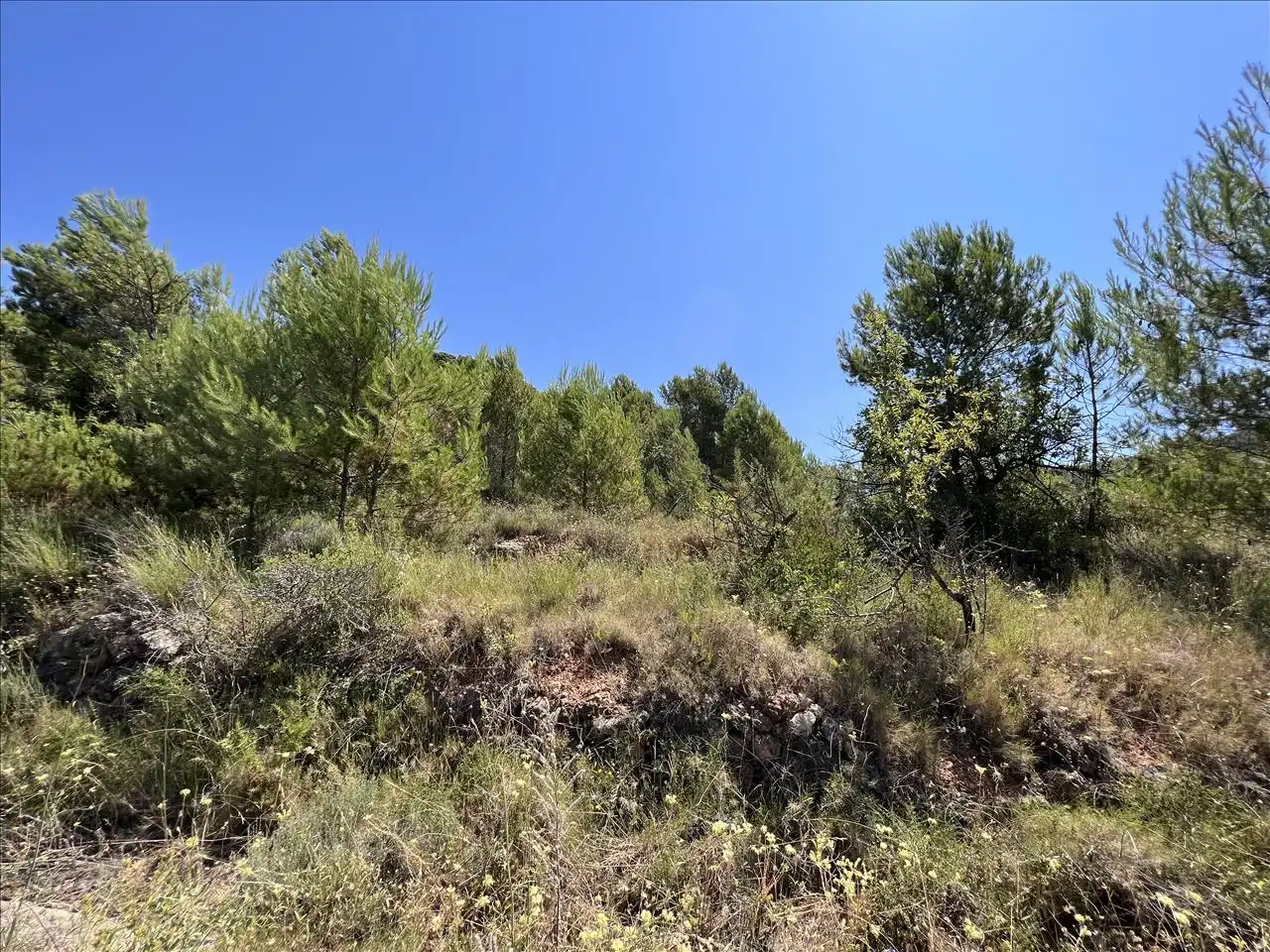 Residential land for sale in Proc. Simplificado, imagen 10