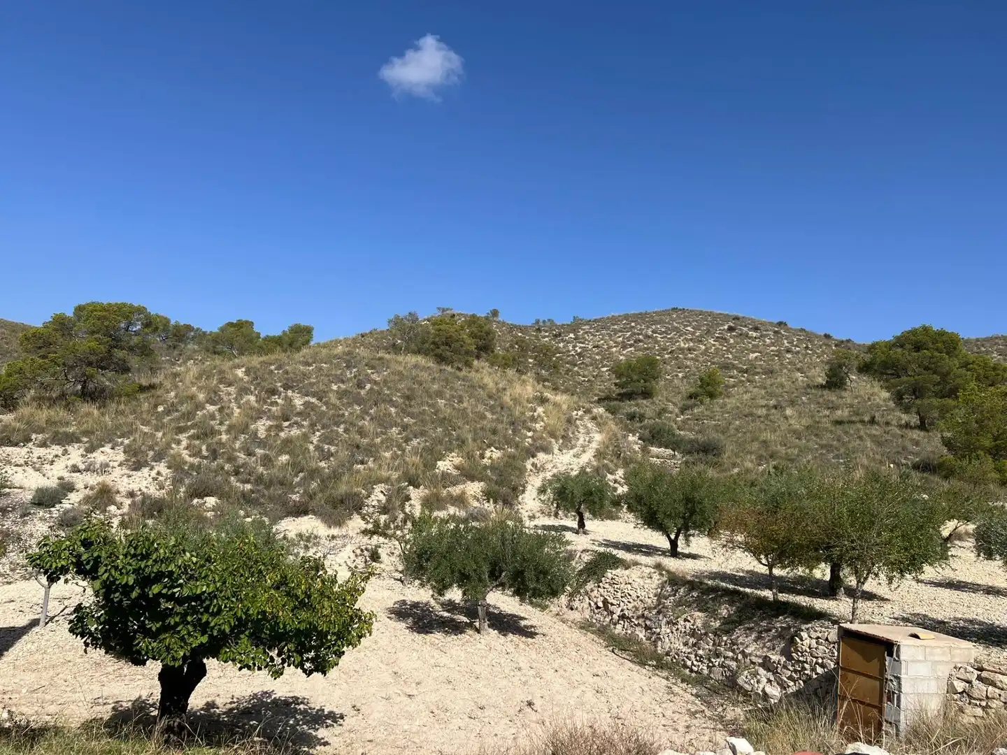 Casa rústica amb jardí en venda a cañada de la leña, imagen 21