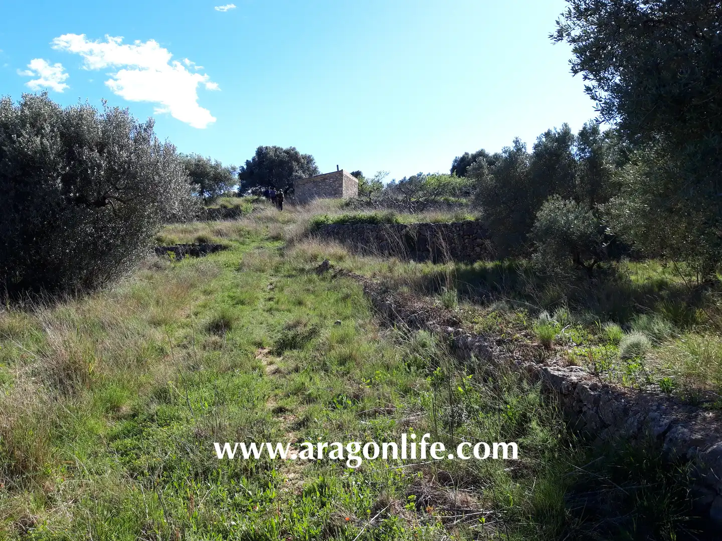 Country homes for sale in El Pinell de Brai