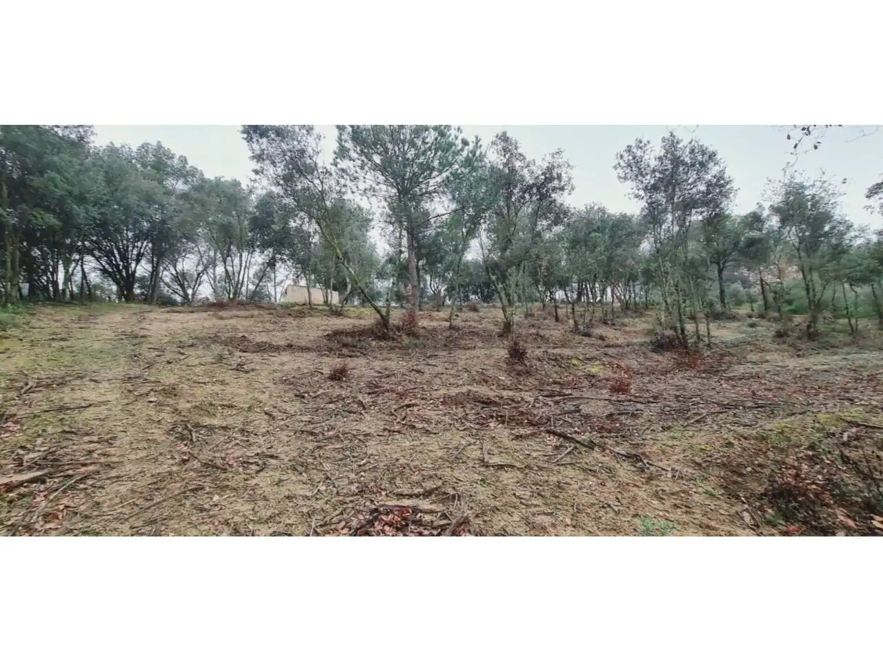 Rural land for sale in Lliçà d'Amunt, imagen 129