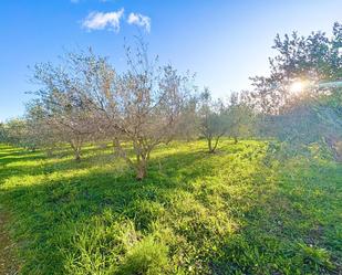 Finca rústica en venda en Campanet amb Calefacció, Terrassa i Traster