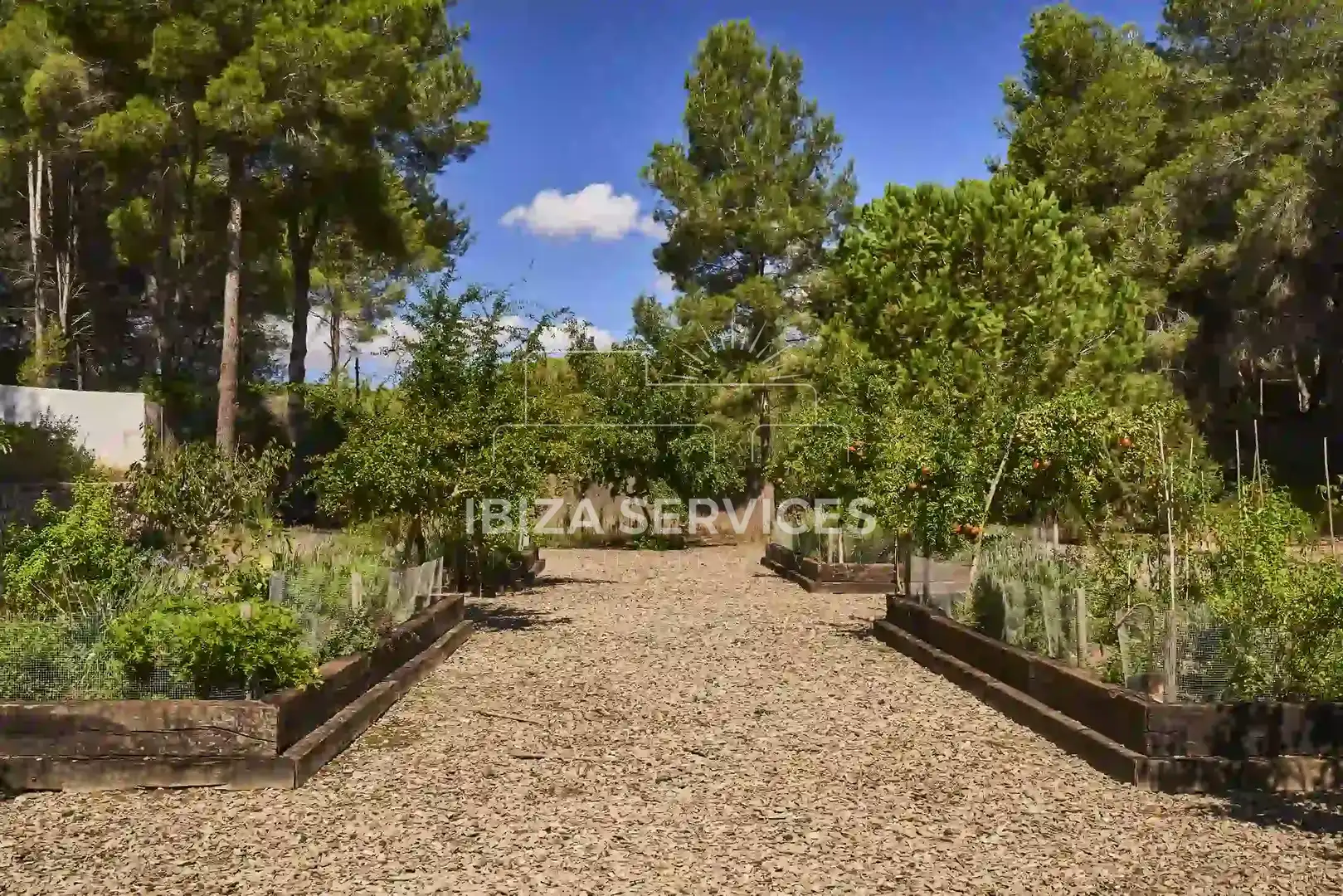 Chalet con piscina en venta en Roca Llisa, imagen 151