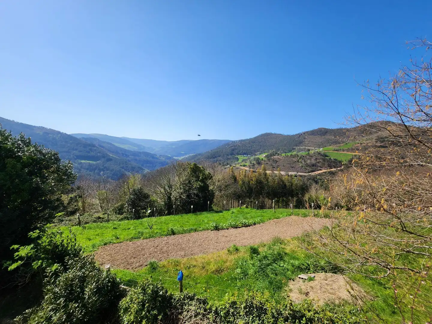 Maison rustique avec jardin à vendre à Villayón, imagen 41
