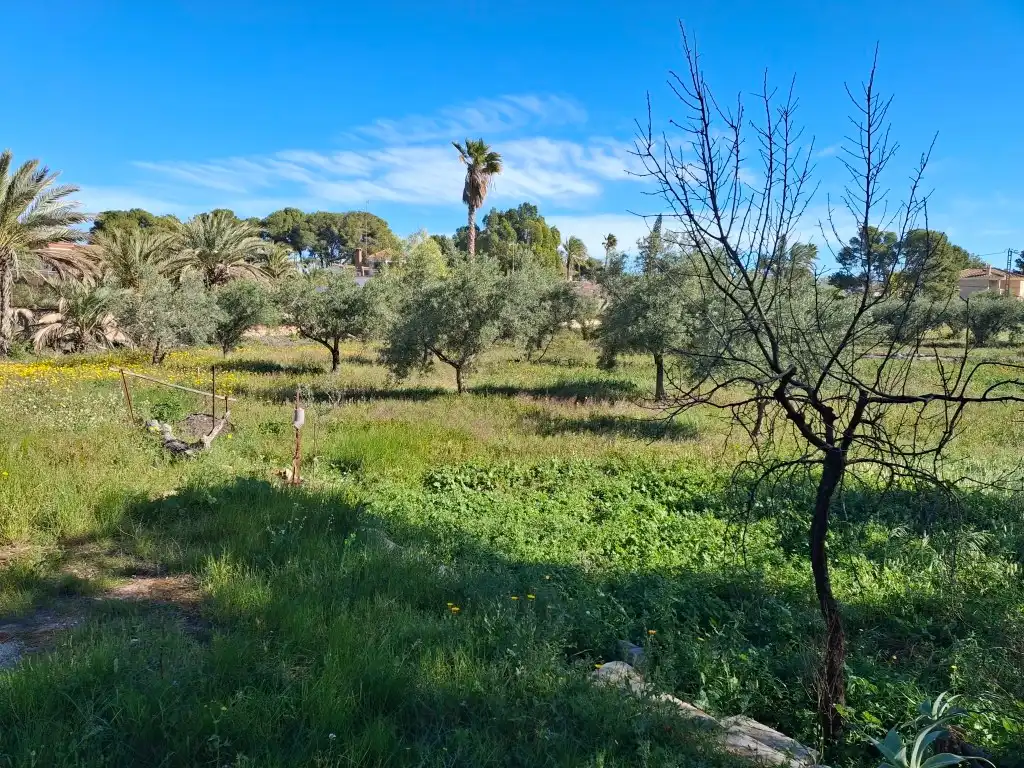 Casa o xalet en venda en Elche / Elx amb Jardí privat, Terrassa i Traster