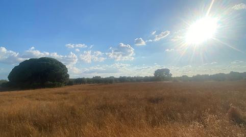 Foto 2 de Residencial en venda a La Puebla de Cazalla, Sevilla