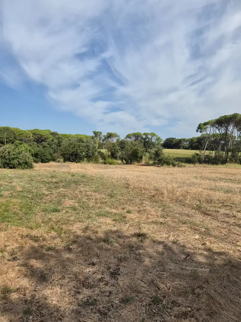 Country house for sale in Diseminado Diseminat 101, imagen 18