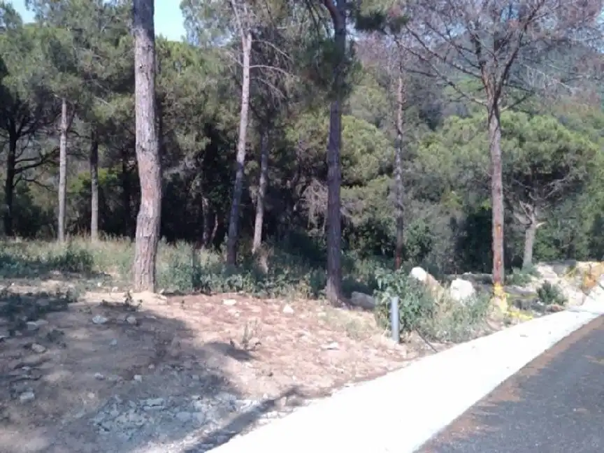 Terreno rustico in vendita a C/ S Daniel, imagen 17