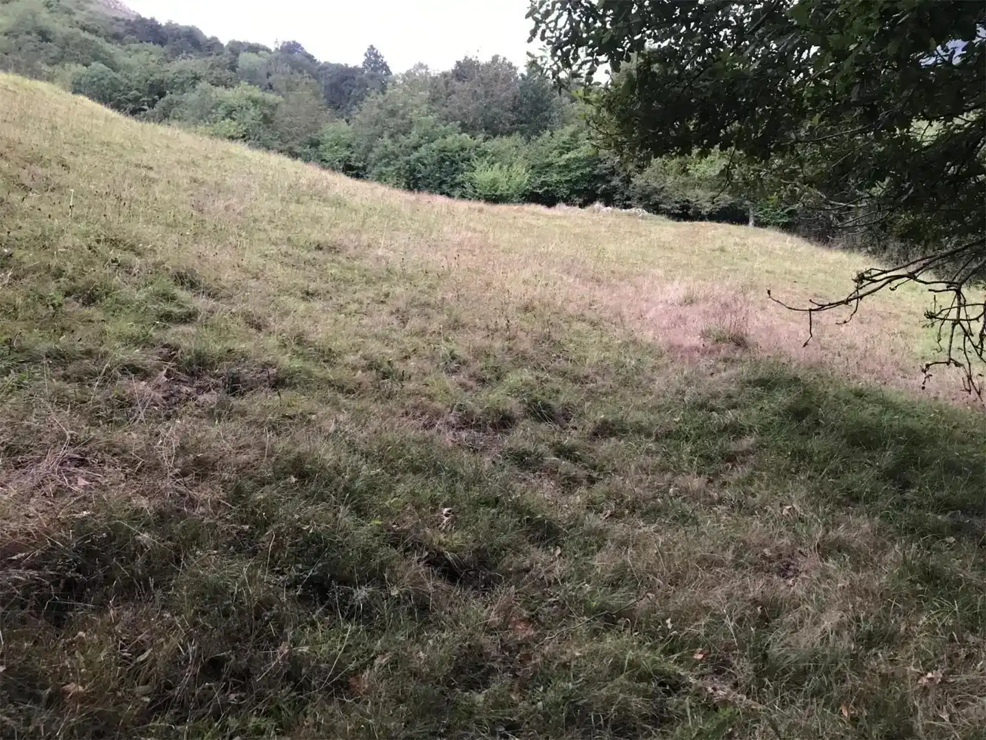 Finca rústica en venda en Piloña