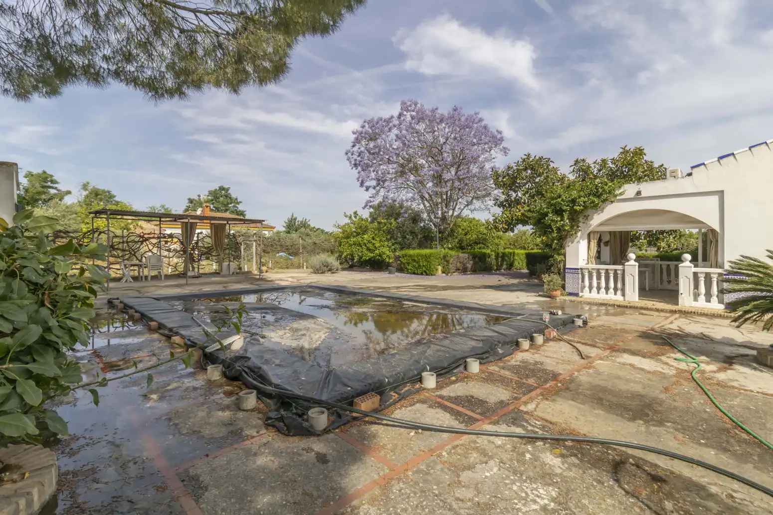 Piscina de Casa o chalet en venta en Carmona con Piscina
