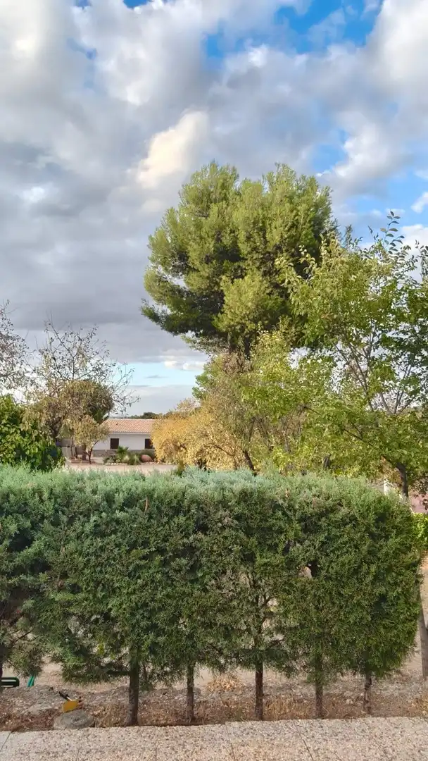 Vista exterior de Finca rústica en venda en Toledo
