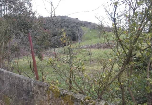 Casa-chalet en Venta en Ramales de la Victoria