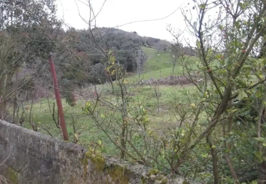 Maison avec jardin à vendre à Ramales de la Victoria