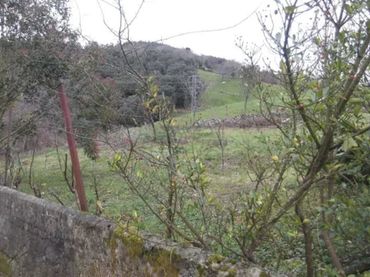 House with garden for sale in Ramales de la Victoria