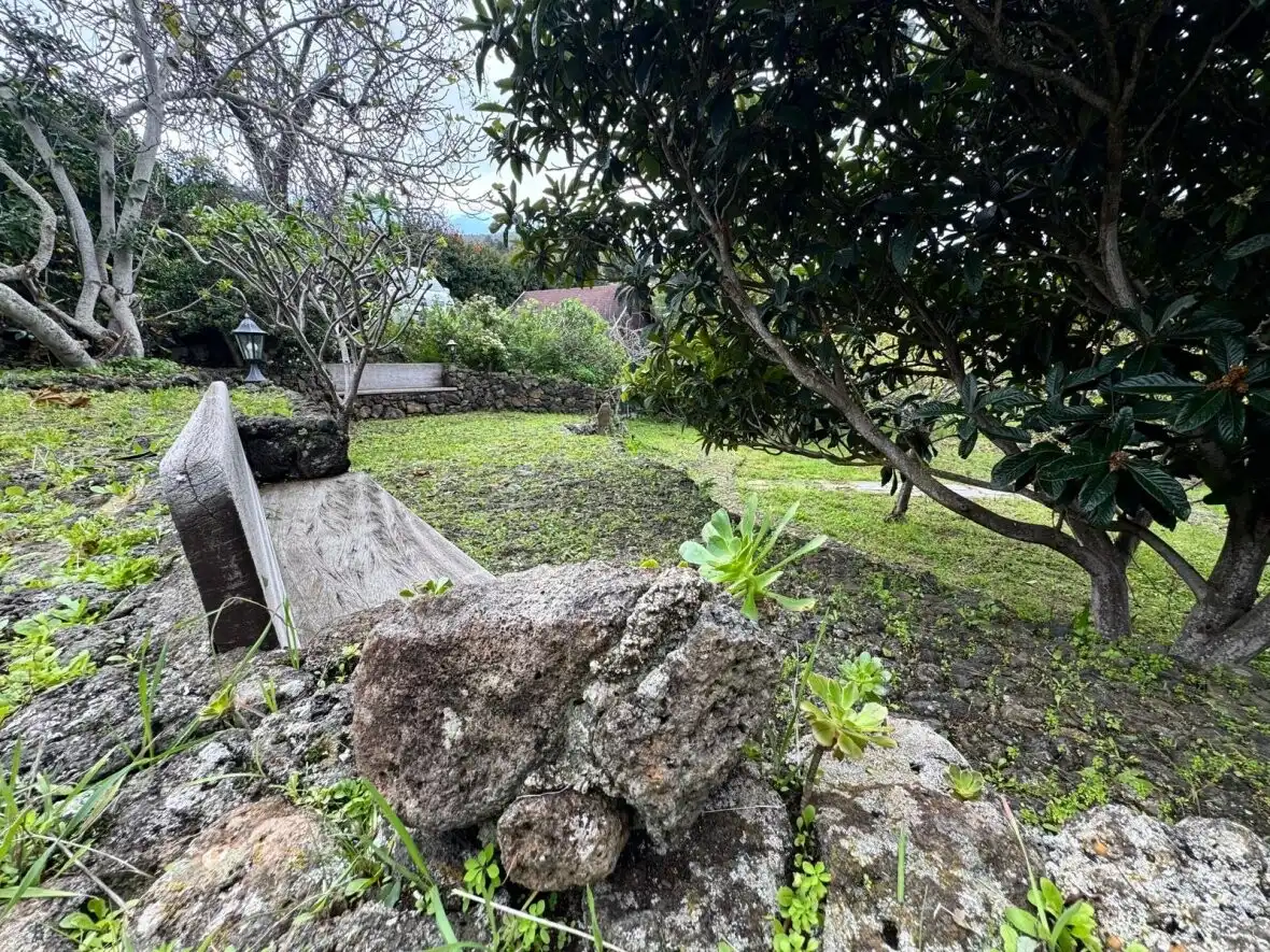 Jardí de Finca rústica en venda en Icod de los Vinos amb Terrassa