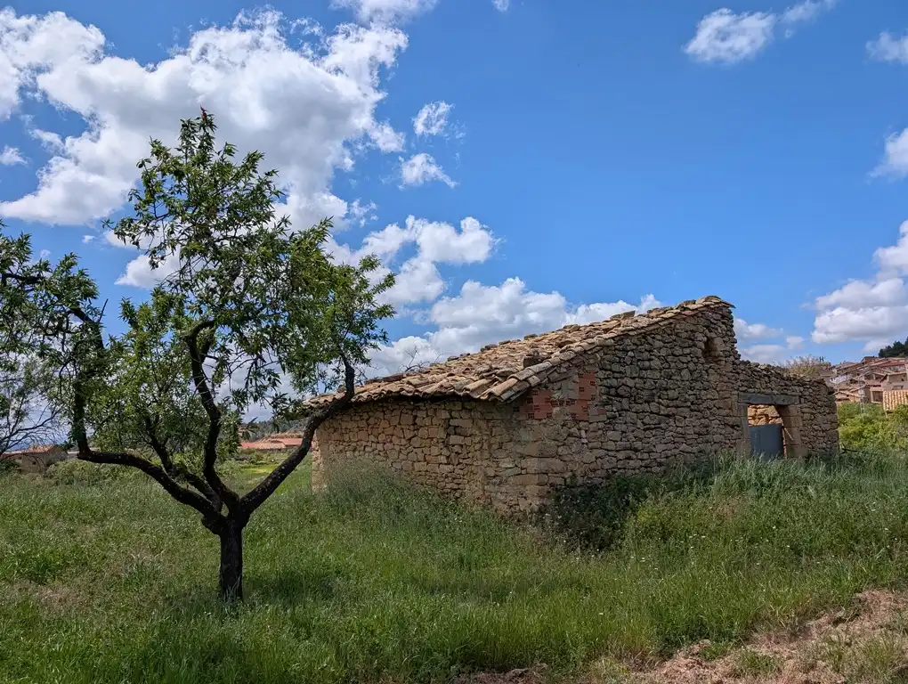 Vista exterior de Finca rústica en venta en Monroyo con Jardín privado