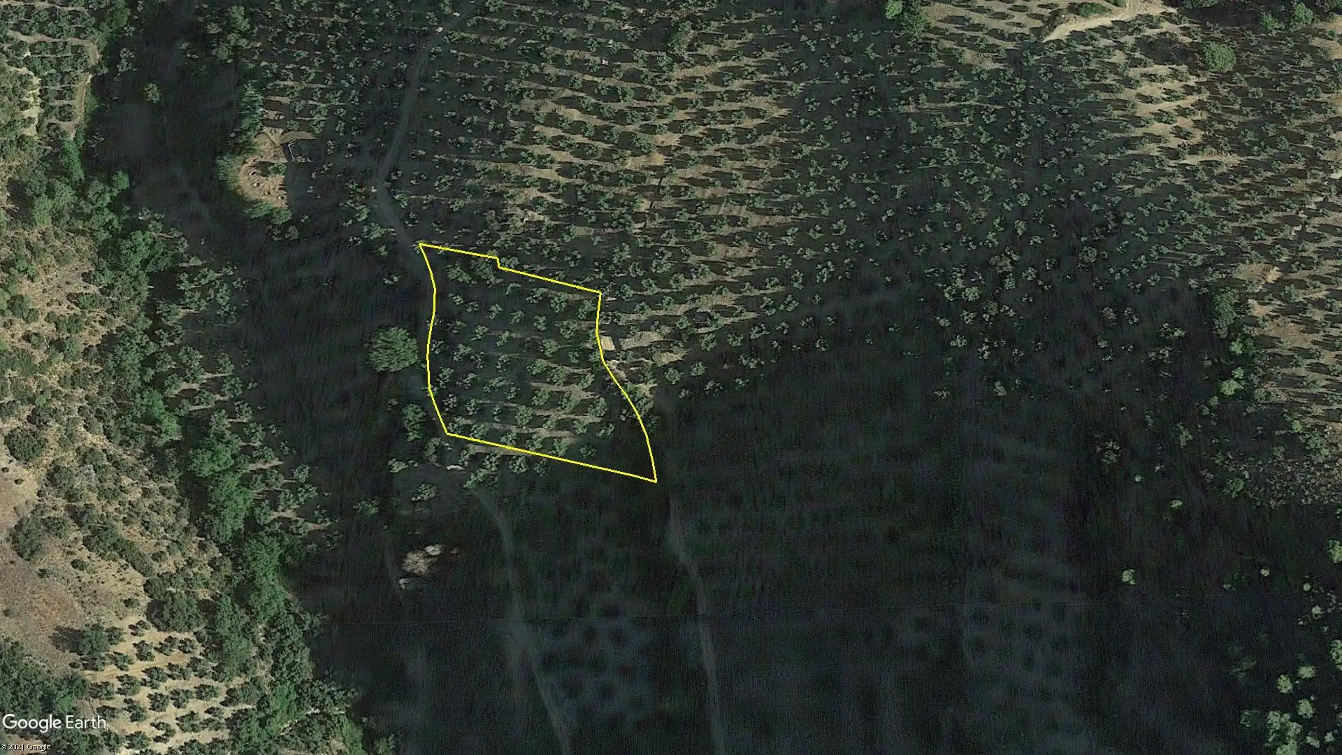 Terreni e lotti in vendita a Puente de Génave, imagen 2