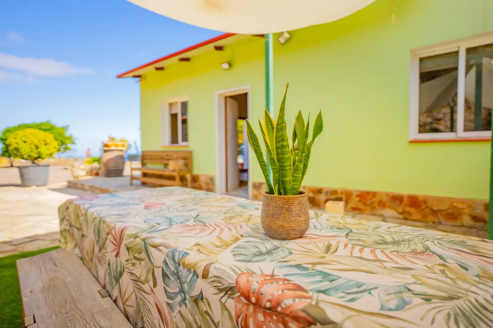 Terrace of Country homes for rent in Güímar