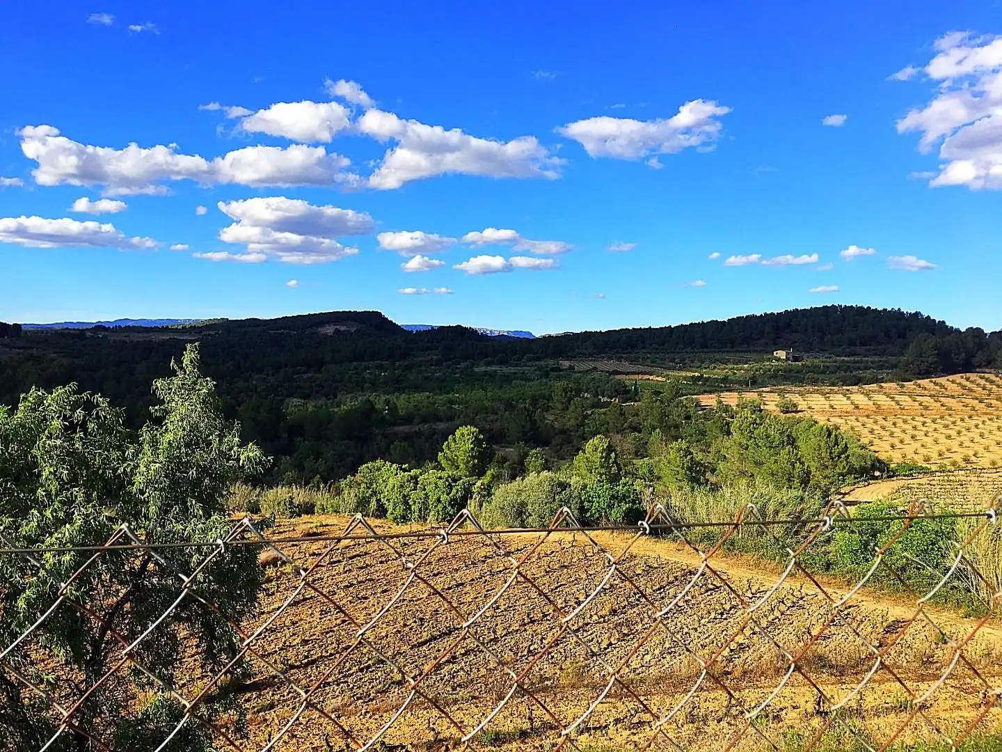 Houses for sale in Els Guiamets