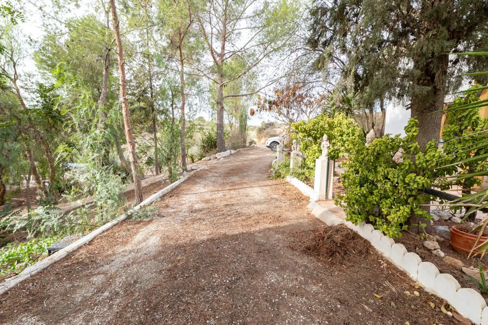 Vista exterior de Casa o chalet en venta en Ricote con Jardín privado, Terraza y Trastero