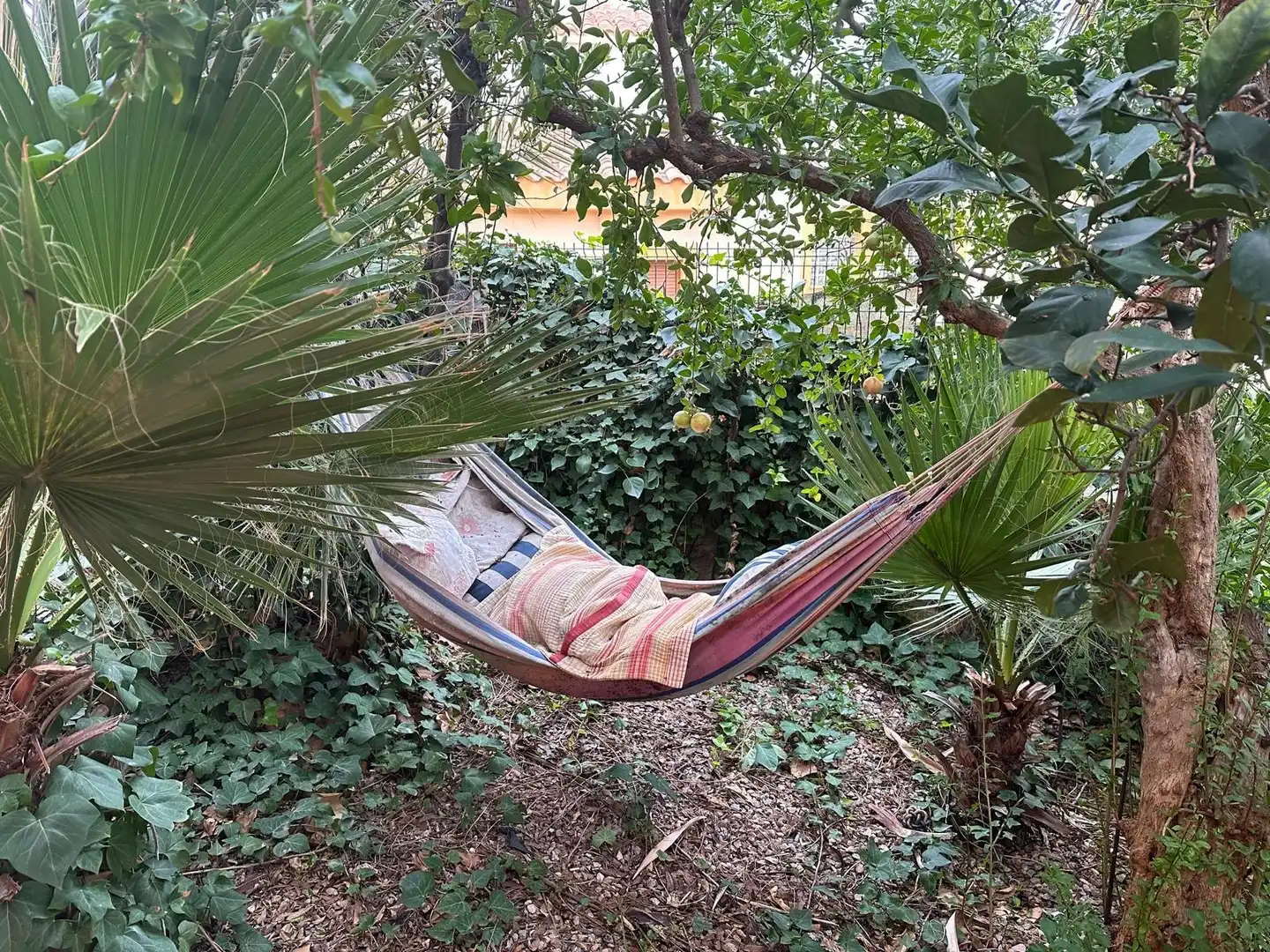 Villa zum Verkauf in Los Collados-Los Geraneos, imagen 32