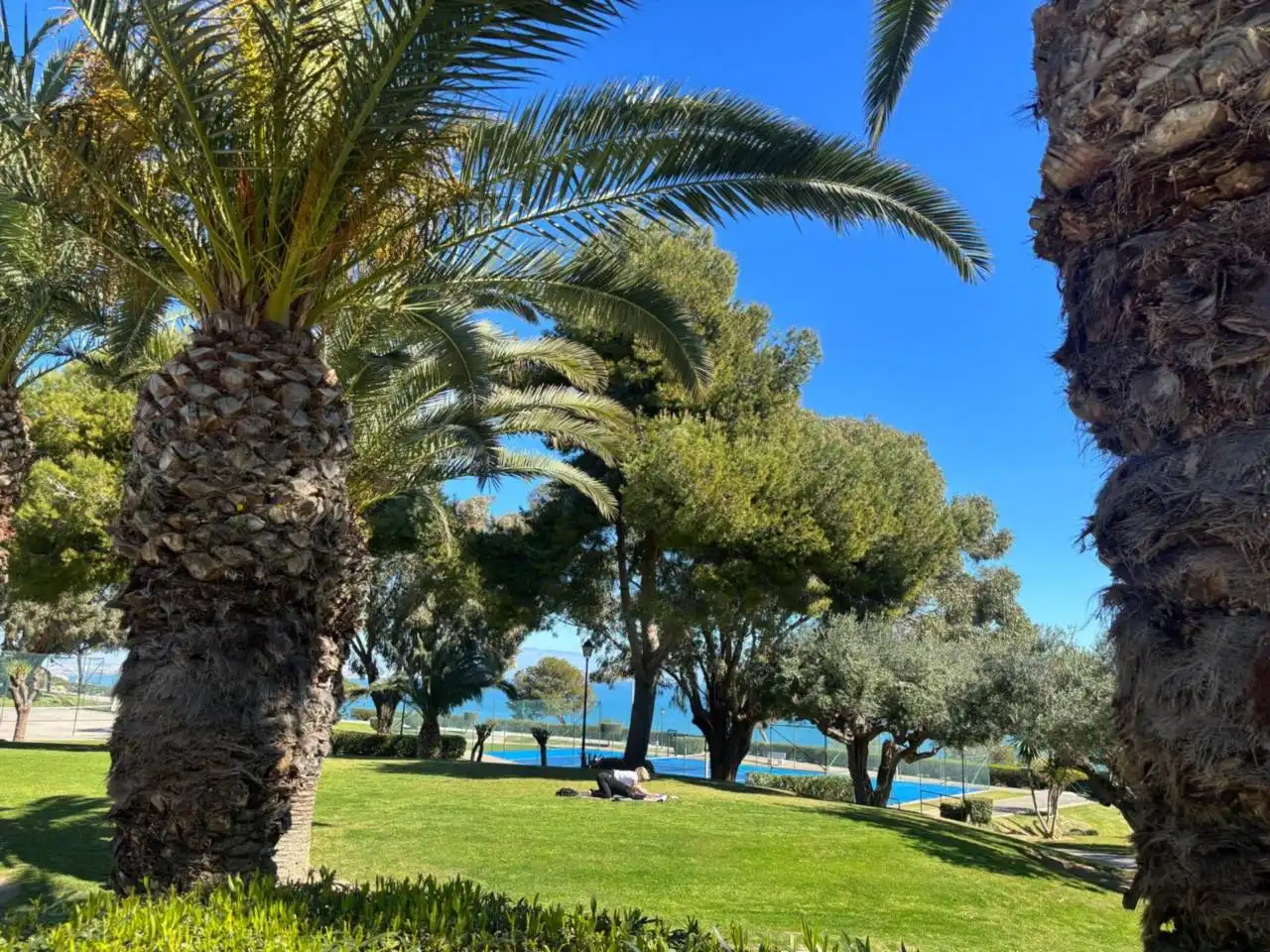 Piso con terraza en venta en Gran Alacant, imagen 14