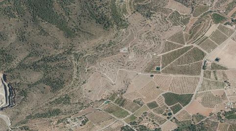 Foto 4 de Finca rústica en venda a Algímia de Alfara, Valencia