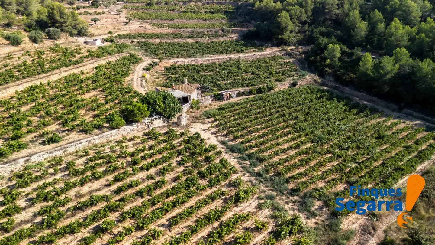 Land for sale in Bonastre, Bonastre