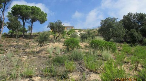 TORDERA (Barcelona). c/ Montserrat Roig, 15 (Urb. "San Daniel").
