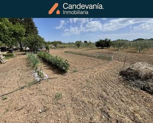 Land for sale in Gurrea de Gállego