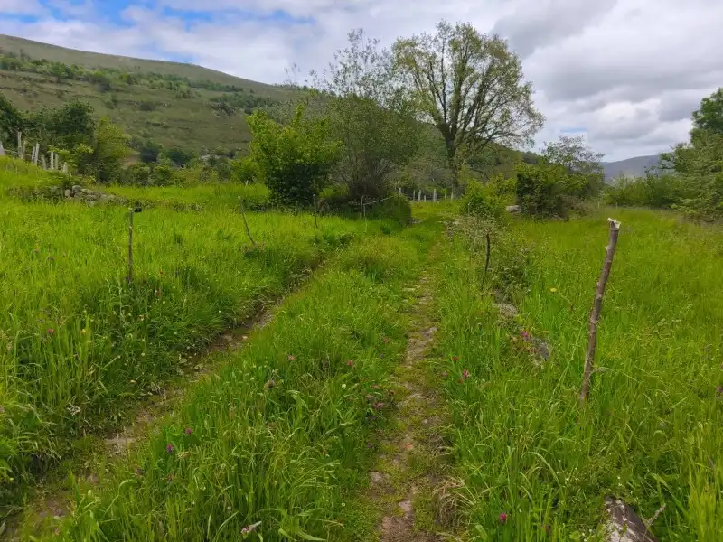 Rural land for sale in Rionansa, imagen 6