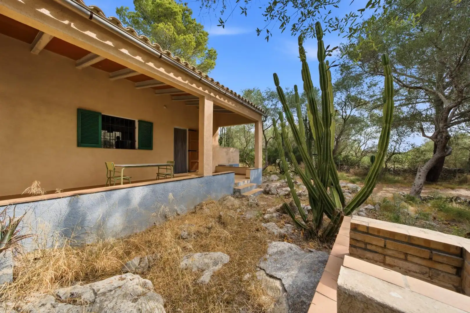 Vista exterior de Finca rústica en venda en Petra amb Jardí privat, Terrassa i Traster