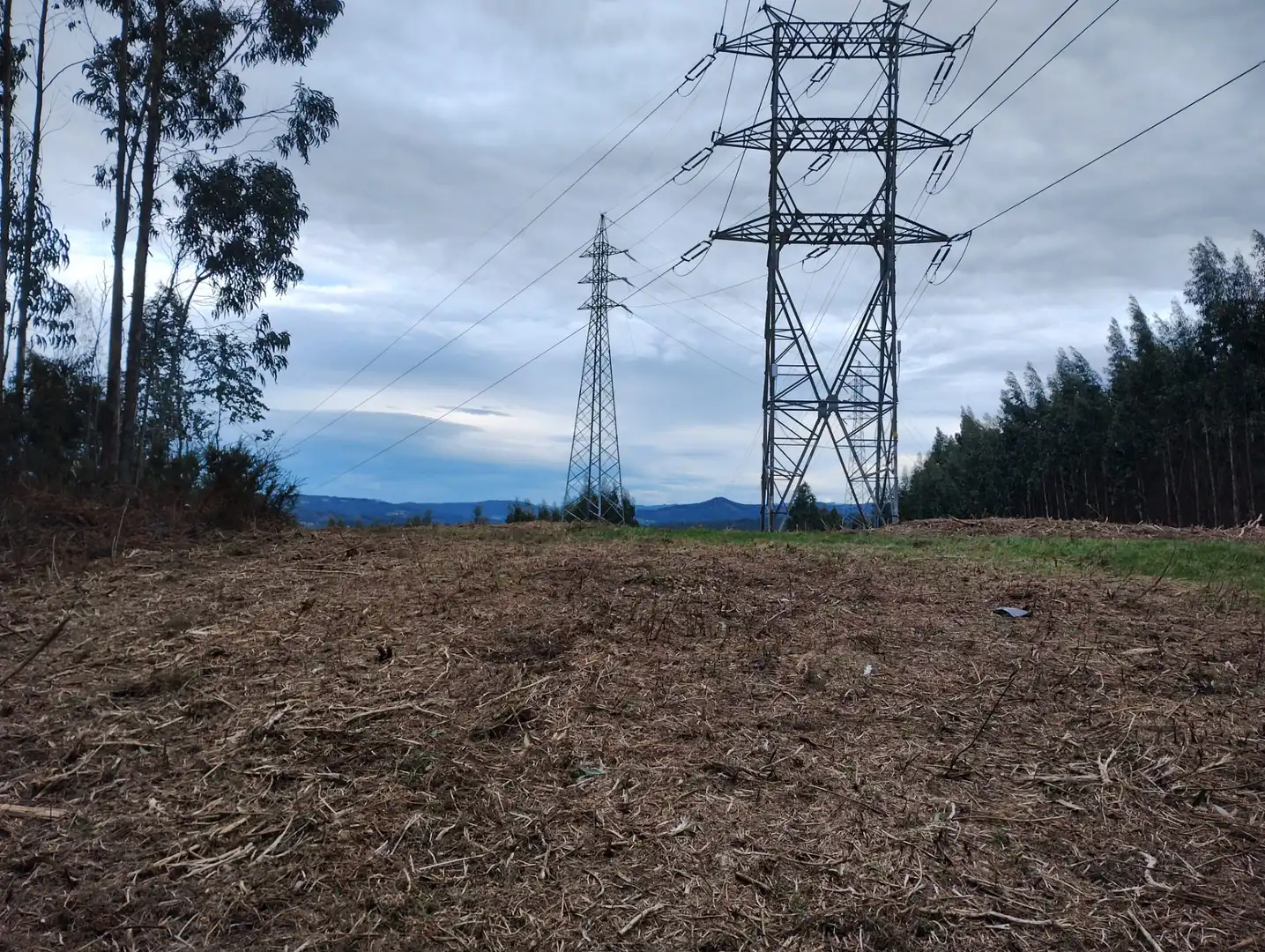 Terreno rústico en venta en Neda, imagen 5