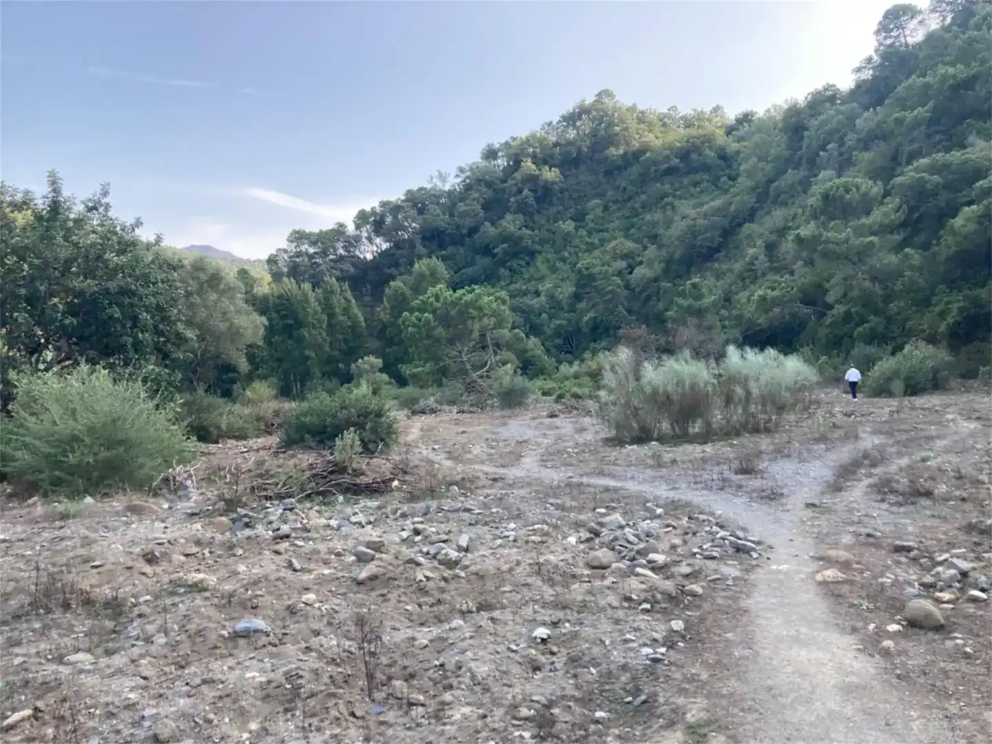 Land for sale in Benarrabá