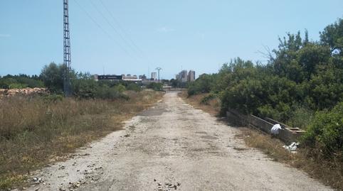Foto 5 de Finca rústica en venda a Polígono 5 Coniller, 4, Centro, Oropesa del Mar / Orpesa