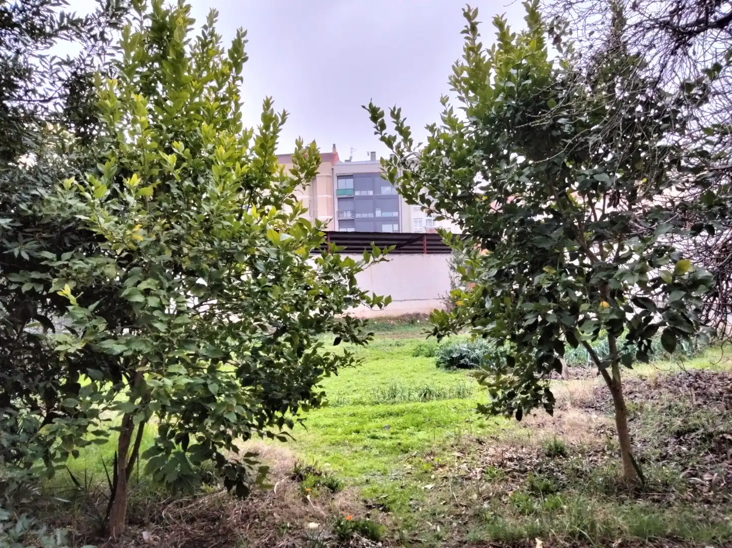 Business premises for sale in Logroño - Ronda de los Cuarteles, imagen 6