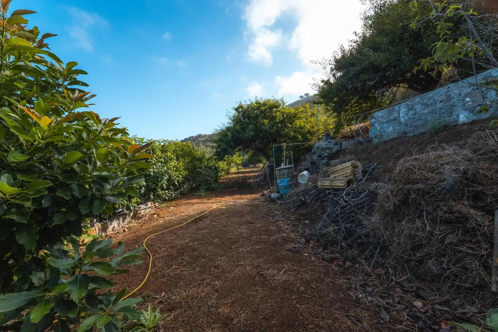 Country homes for sale in El Tanque