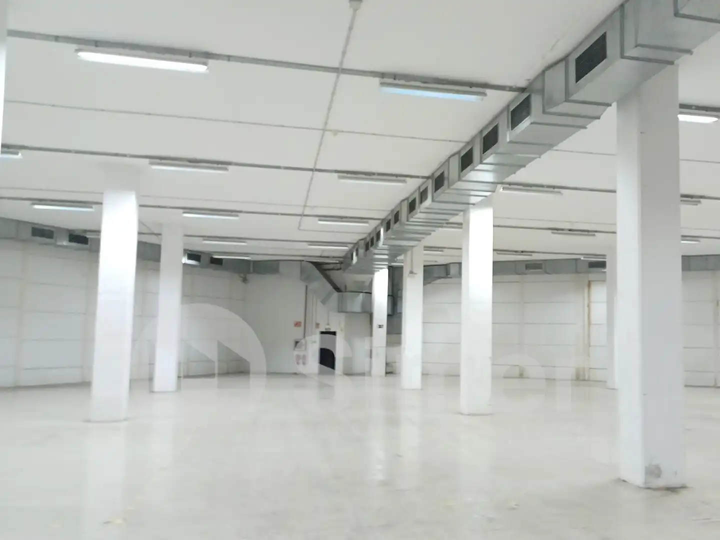 Industriegebäude zum Verkauf in Sud, imagen 19