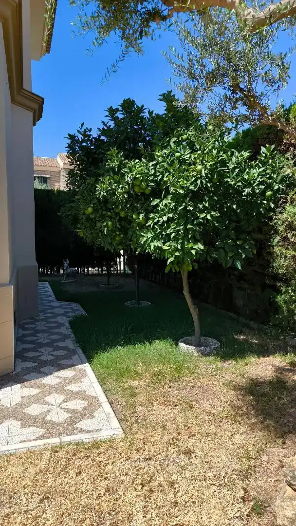Jardí de Casa o xalet en venda en Valencina de la Concepción amb Piscina
