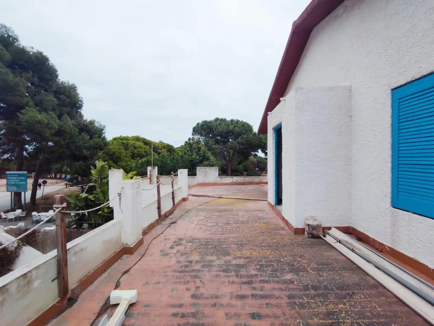 Vista exterior de Casa o xalet en venda en Elche / Elx amb Terrassa
