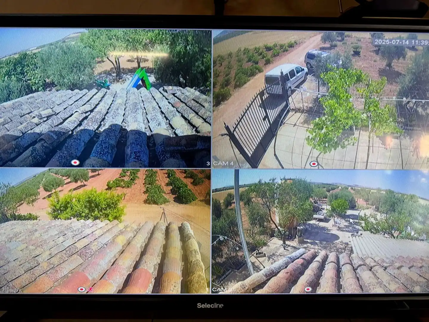 Vista exterior de Finca rústica en venda en Membrilla