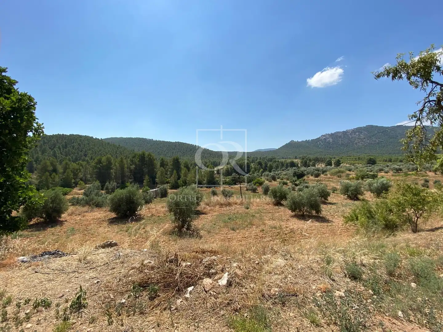 Rural land for sale in N/A, imagen 29