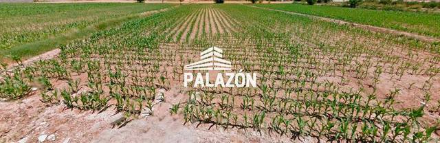 Terreno en Venta en Callosa de Segura