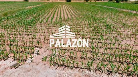 Finca de cultivo en venta en Callosa de Segura Alicante