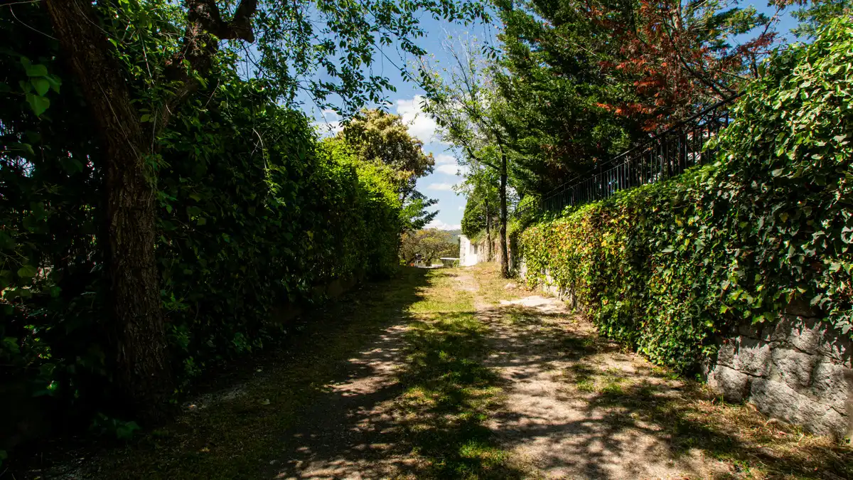 Vista exterior de Casa o xalet en venda en Fresnedillas de la Oliva amb Aire condicionat, Calefacció i Jardí privat