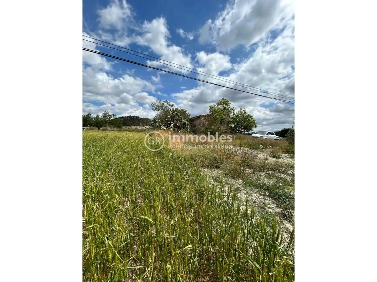 Terreno rustico in vendita a Sineu, imagen 9